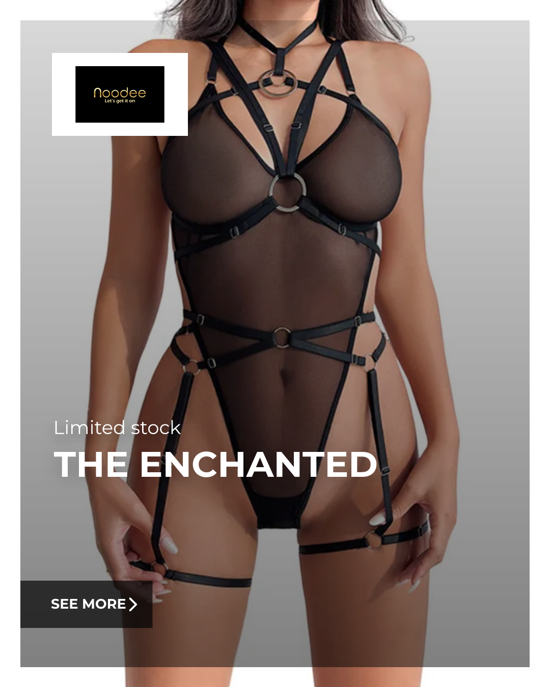 The Enchanted Sheer Bodysuit